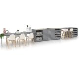composicion 205 plata frontal