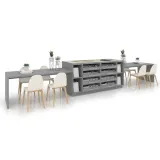 composicion 210 plata frontal